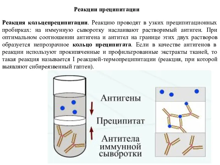 Реакции преципитации Реакция кольцепреципитации. Реакцию проводят в узких преципитационных пробирках: