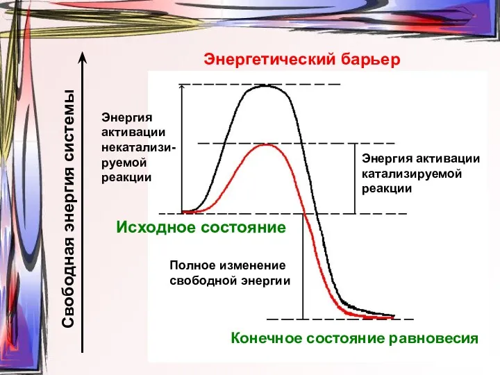 Энергия активации катализируемой реакции Полное изменение свободной энергии Энергия активации