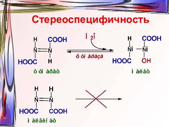 Стереоспецифичность