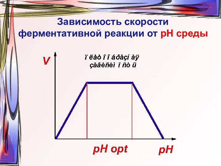 Зависимость скорости ферментативной реакции от рН среды