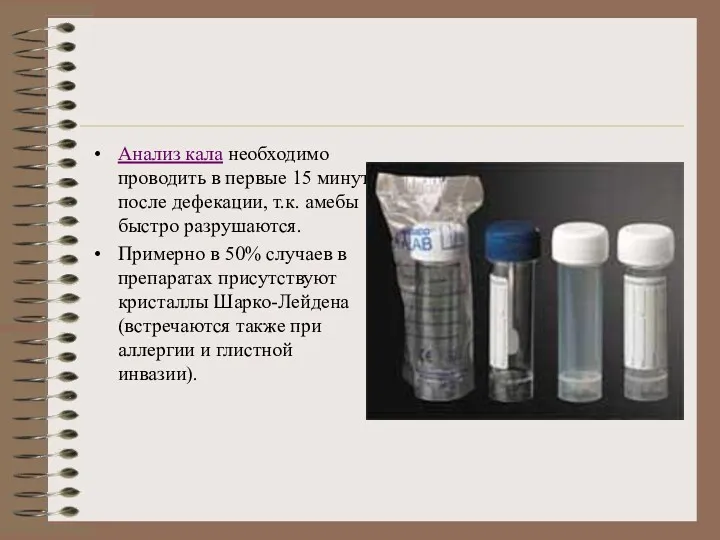 Анализ кала необходимо проводить в первые 15 минут после дефекации,