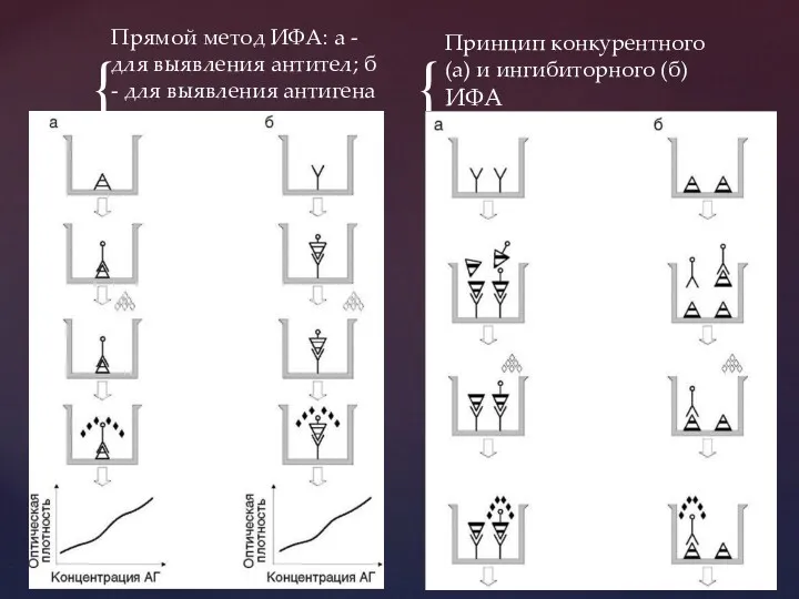 Прямой метод ИФА: а - для выявления антител; б - для выявления антигена