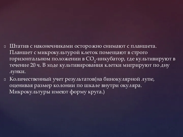 Штатив с наконечниками осторожно снимают с планшета. Планшет с микрокультурой