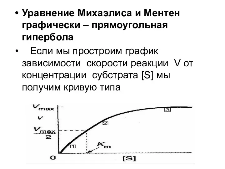 Уравнение Михаэлиса и Ментен графически – прямоугольная гипербола Если мы простроим график зависимости