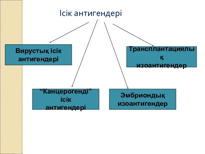 Ісік антигендері Вирустық ісік антигендері Трансплантациялық изоантигендер “Канцерогенді” ісік антигендері Эмбриондық изоантигендер