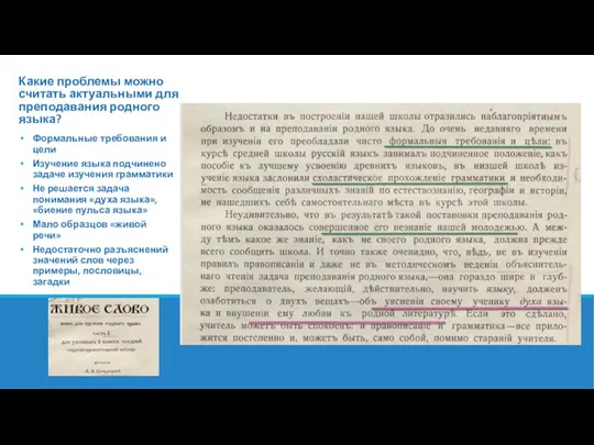 Какие проблемы можно считать актуальными для преподавания родного языка? Формальные