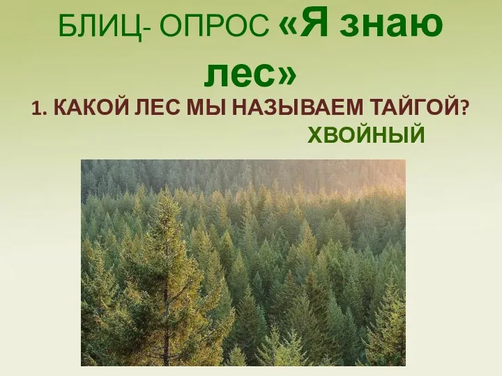 БЛИЦ- ОПРОС «Я знаю лес» 1. КАКОЙ ЛЕС МЫ НАЗЫВАЕМ ТАЙГОЙ? ХВОЙНЫЙ