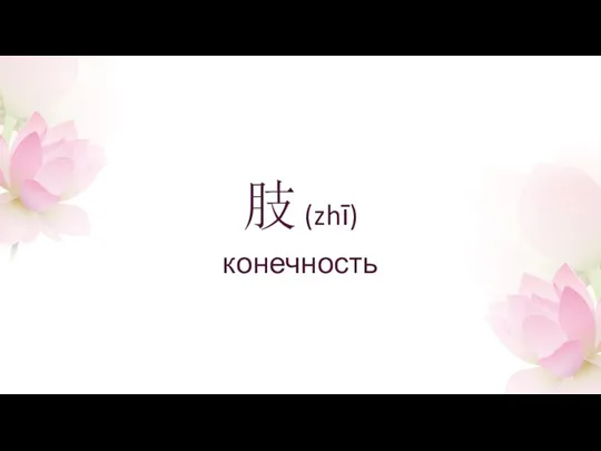 肢 (zhī) конечность