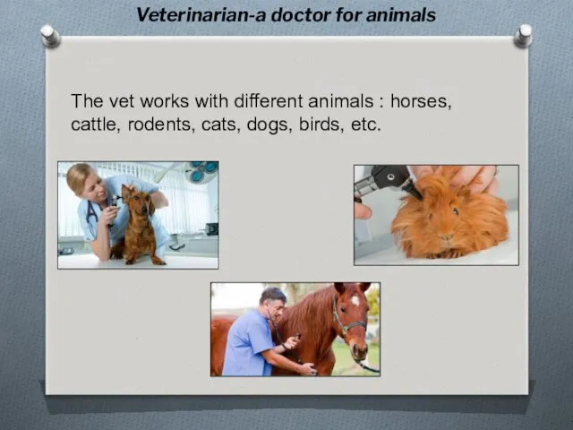 The vet works with different animals : horses, cattle, rodents,
