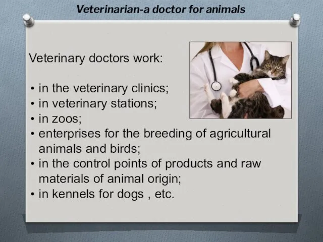 Veterinary doctors work: in the veterinary clinics; in veterinary stations;