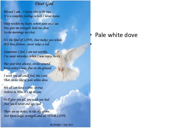 Pale white dove