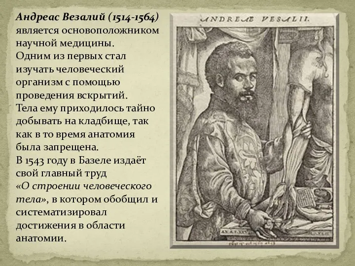 Андреас Везалий (1514-1564) является основоположником научной медицины. Одним из первых