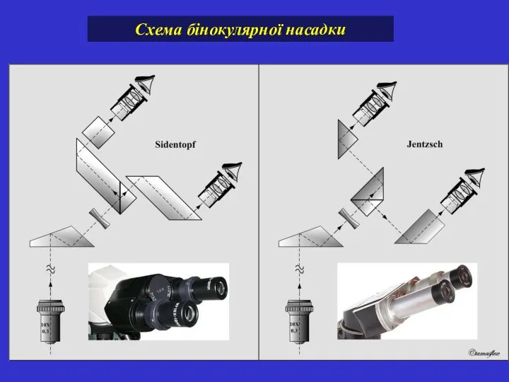 Схема бінокулярної насадки