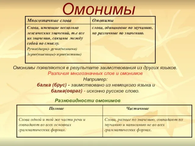 Омонимы Разновидности омонимов: Омонимы появляются в результате заимствования из других