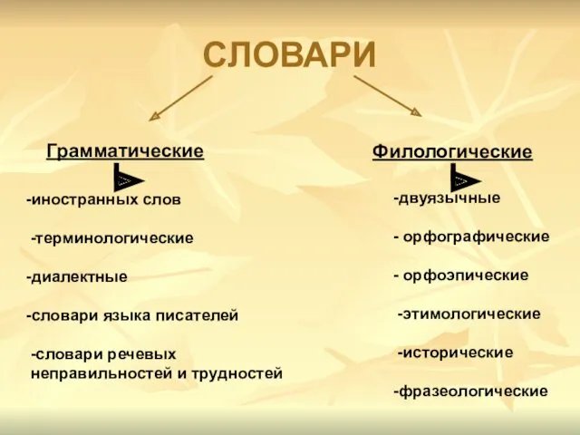 СЛОВАРИ Грамматические Филологические -двуязычные - орфографические - орфоэпические -этимологические -исторические