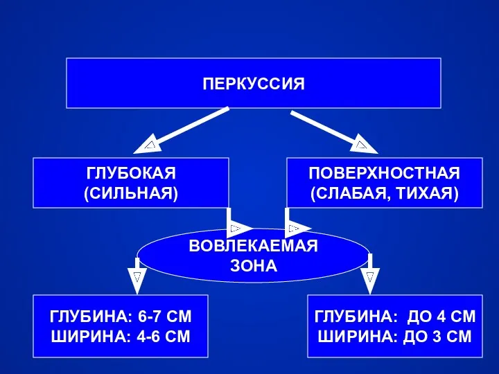 ПЕРКУССИЯ ГЛУБОКАЯ (СИЛЬНАЯ) ПОВЕРХНОСТНАЯ (СЛАБАЯ, ТИХАЯ) ВОВЛЕКАЕМАЯ ЗОНА ГЛУБИНА: 6-7