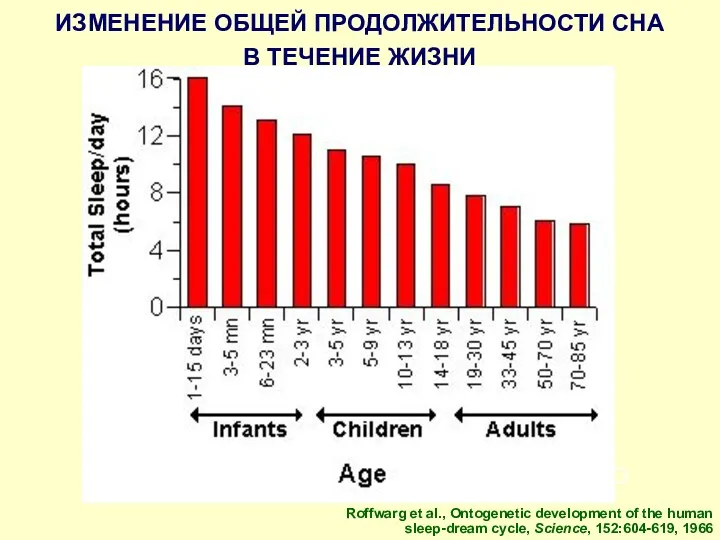 Комарова И.Б. Кафедра неврологии детского возраста РМАПО Roffwarg et al.,