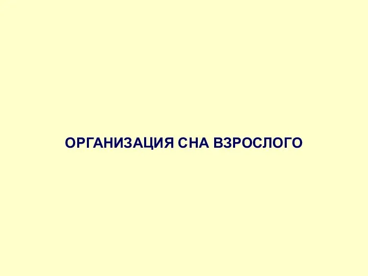 ОРГАНИЗАЦИЯ СНА ВЗРОСЛОГО