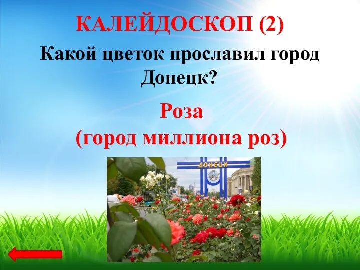 Какой цветок прославил город Донецк? Роза (город миллиона роз) КАЛЕЙДОСКОП (2)