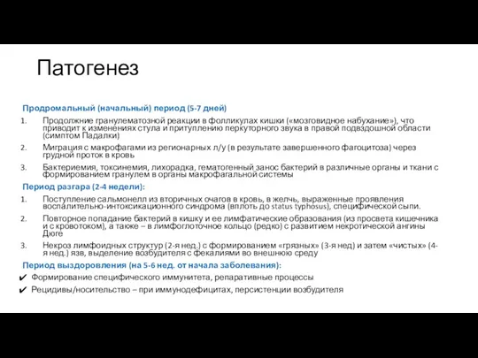 Патогенез Продромальный (начальный) период (5-7 дней) Продолжние гранулематозной реакции в