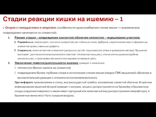 Стадии реакции кишки на ишемию – 1 I. Острая с