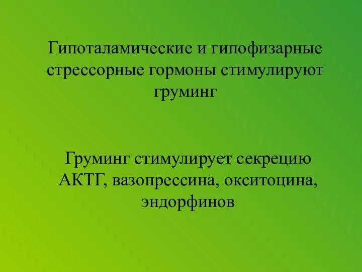 Гипоталамические и гипофизарные стрессорные гормоны стимулируют груминг Груминг стимулирует секрецию АКТГ, вазопрессина, окситоцина, эндорфинов