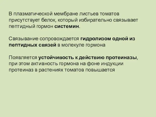 В плазматической мембране листьев томатов присутствует белок, который избирательно связывает