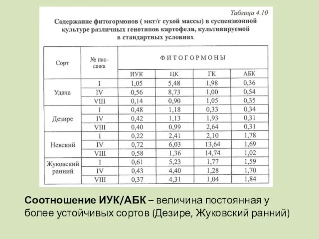 Соотношение ИУК/АБК – величина постоянная у более устойчивых сортов (Дезире, Жуковский ранний)