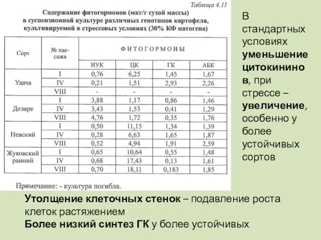 В стандартных условиях уменьшение цитокининов, при стрессе – увеличение, особенно