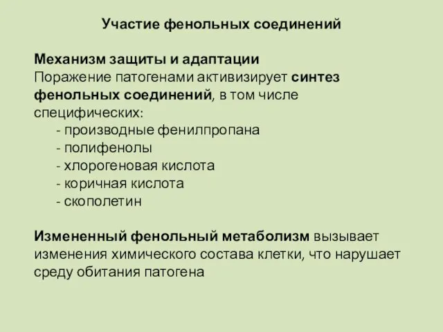 Участие фенольных соединений Механизм защиты и адаптации Поражение патогенами активизирует