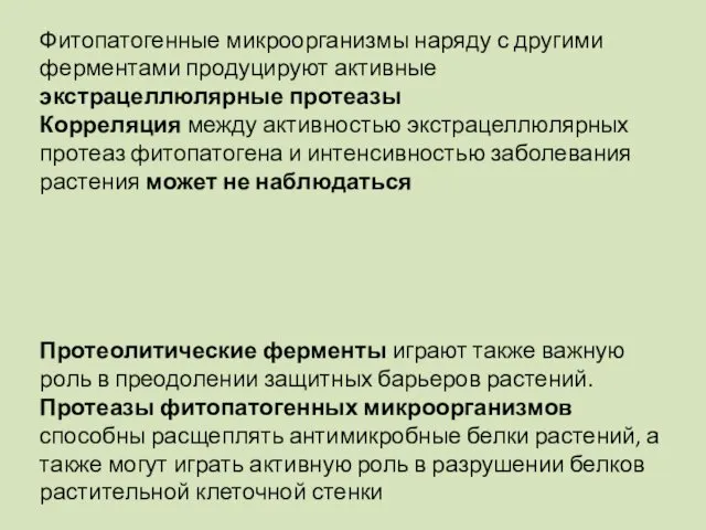 Фитопатогенные микроорганизмы наряду с другими ферментами продуцируют активные экстрацеллюлярные протеазы