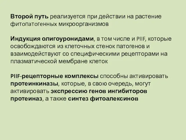 Второй путь реализуется при действии на растение фитoпaтoгeнныx микроорганизмов Индукция