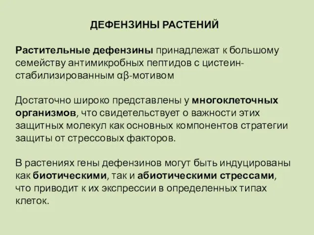 ДЕФЕНЗИНЫ РАСТЕНИЙ Растительные дефензины принадлежат к большому семейству антимикробных пептидов