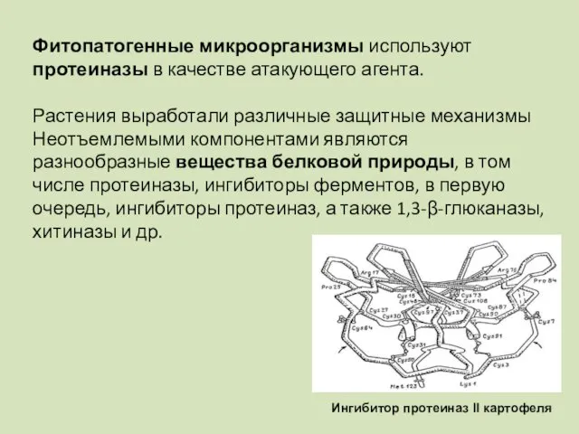 Фитопатогенные микроорганизмы используют протеиназы в качестве атакующего агента. Растения выработали