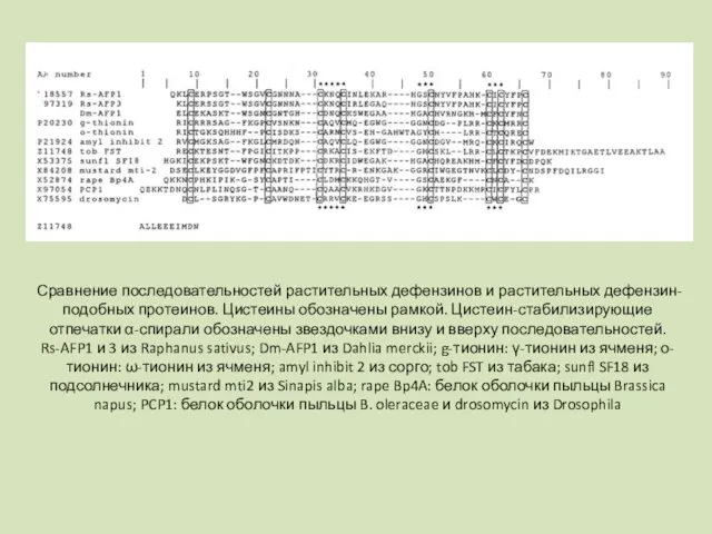 Сравнение последовательностей растительных дефензинов и растительных дефензин-подобных протеинов. Цистеины обозначены