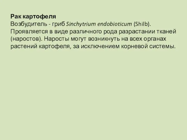 Рак картофеля Возбудитель - гриб Sinchytrium endobioticum (Shilb). Проявляется в