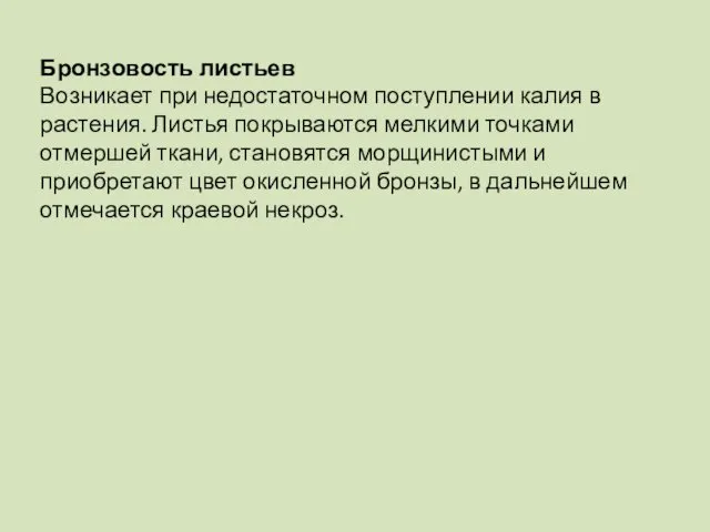 Бронзовость листьев Возникает при недостаточном поступлении калия в растения. Листья