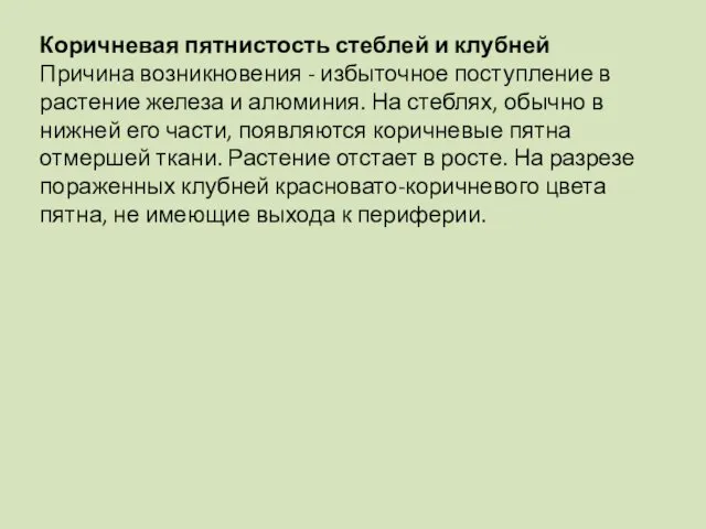 Коричневая пятнистость стеблей и клубней Причина возникновения - избыточное поступление