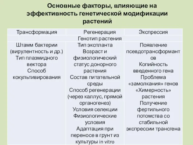 Основные факторы, влияющие на эффективность генетической модификации растений