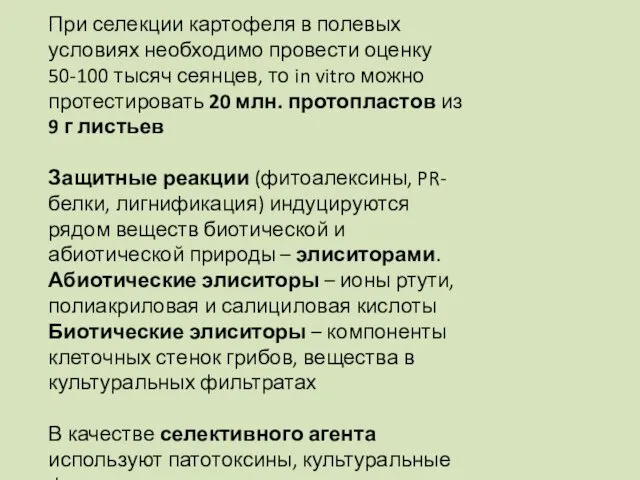 При селекции картофеля в полевых условиях необходимо провести оценку 50-100