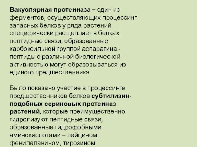 Вакуолярная протеиназа – один из ферментов, осуществляющих процессинг запасных белков