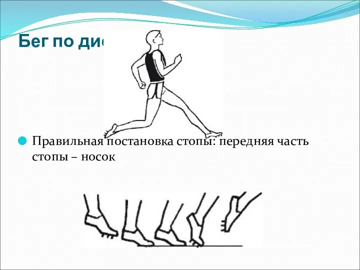 Бег по дистанции Правильная постановка стопы: передняя часть стопы – носок