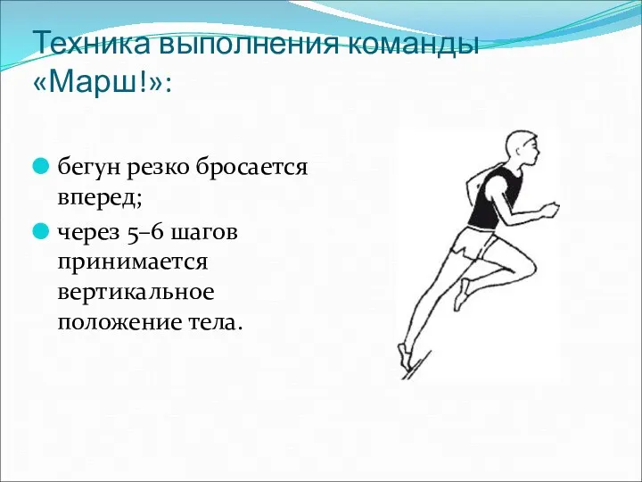 Техника выполнения команды «Марш!»: бегун резко бросается вперед; через 5–6 шагов принимается вертикальное положение тела.