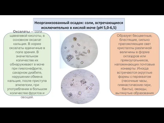 Оксалаты — соли щавелевой кислоты, в основном оксалат кальция. В