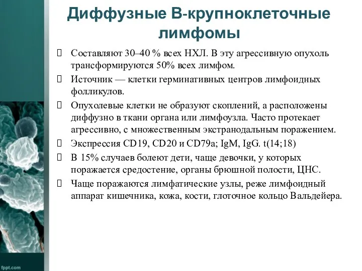 Диффузные В-крупноклеточные лимфомы Составляют 30–40 % всех НХЛ. В эту агрессивную опухоль трансформируются