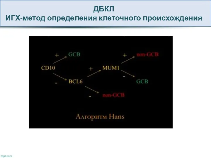 ДБКЛ ИГХ-метод определения клеточного происхождения