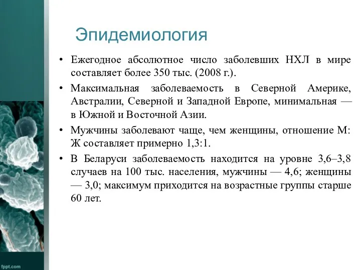 Эпидемиология Ежегодное абсолютное число заболевших НХЛ в мире составляет более 350 тыс. (2008