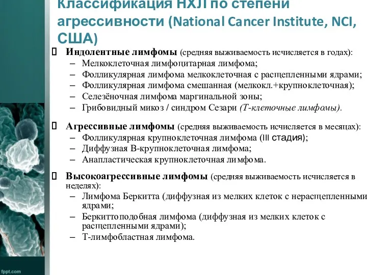 Классификация НХЛ по степени агрессивности (National Cancer Institute, NCI, США) Индолентные лимфомы (средняя