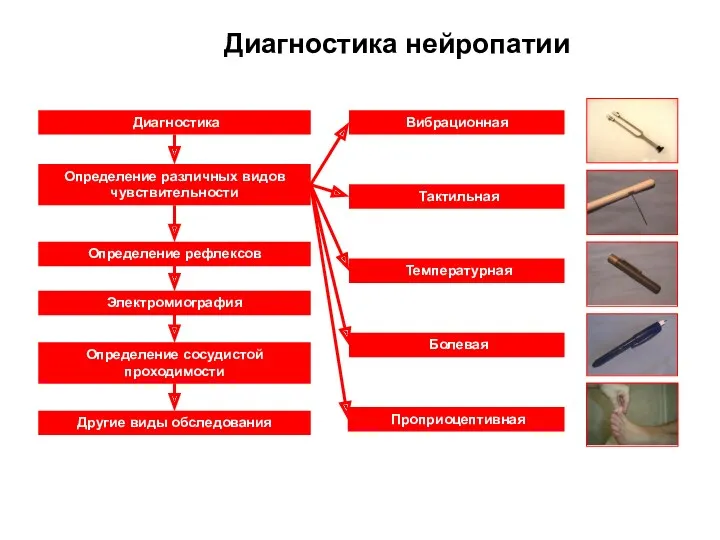 Диагностика Определение различных видов чувствительности Определение рефлексов Определение сосудистой проходимости