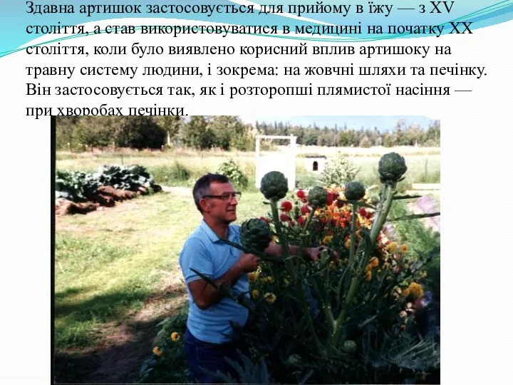 Здавна артишок застосовується для прийому в їжу — з ХV століття, а став